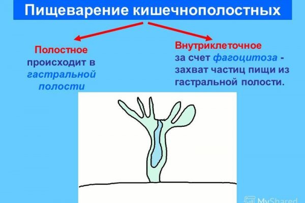 Кракен как войти через тор