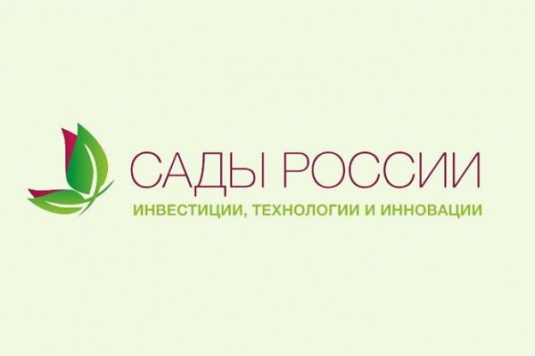 Ссылка на кракен krawebes